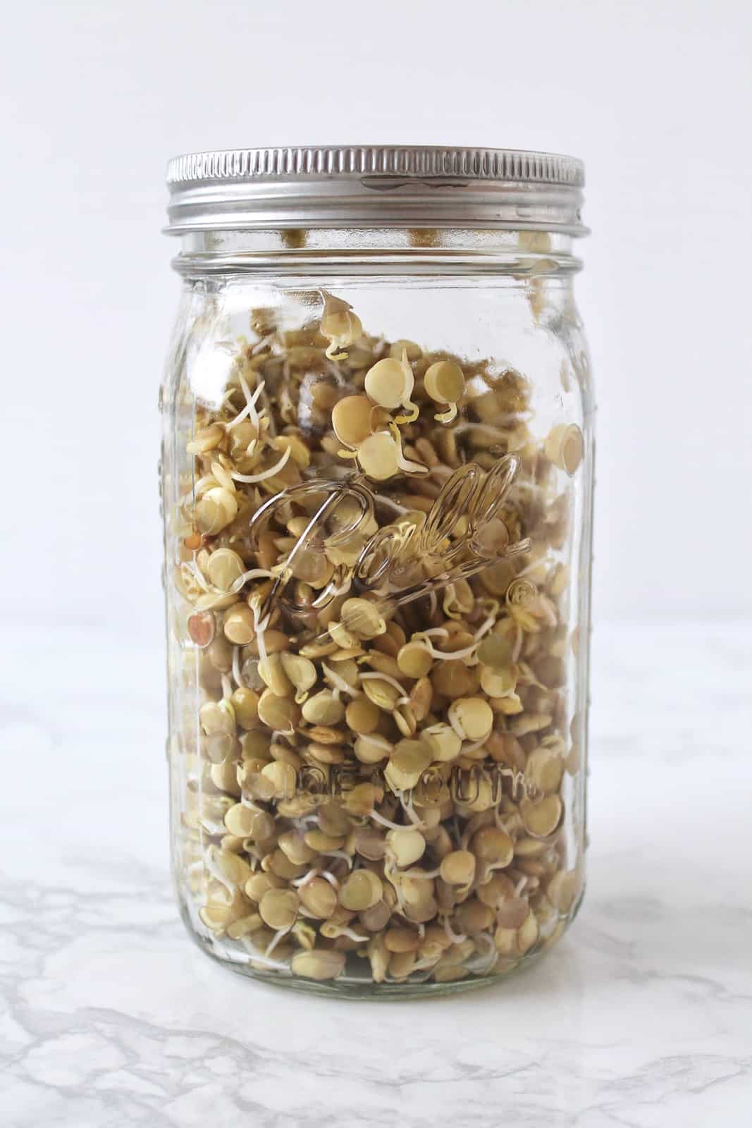 Clear mason jar filled with lentil sprouts on a white marble surface