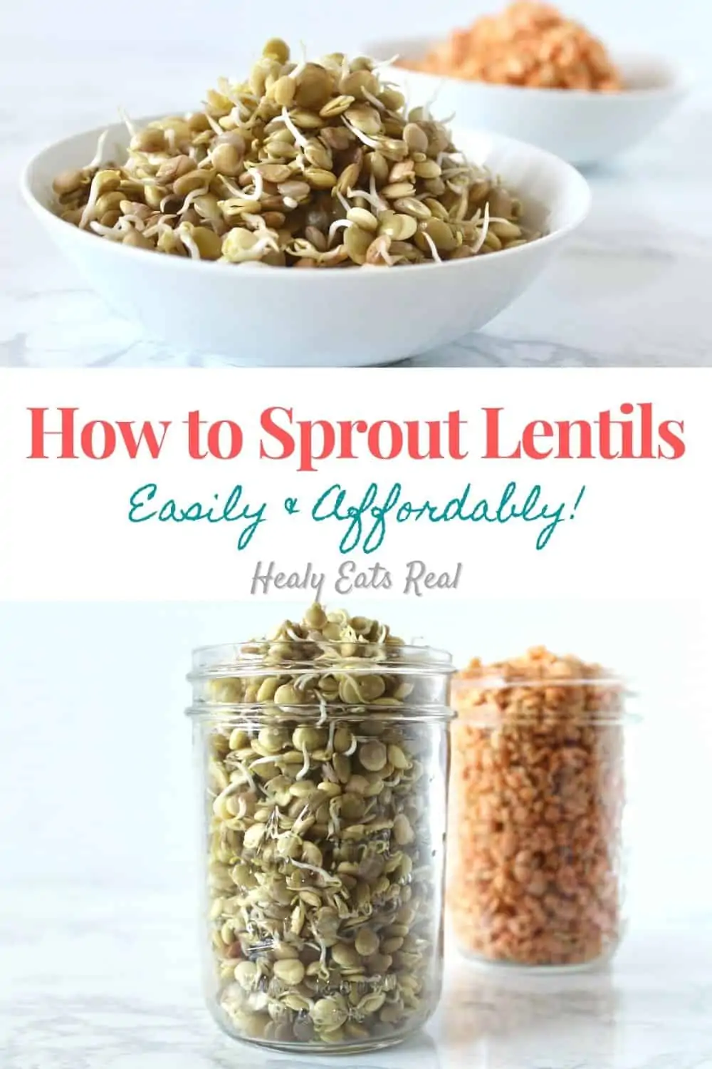 How to Sprout Lentils The Easy Way (VIDEO)