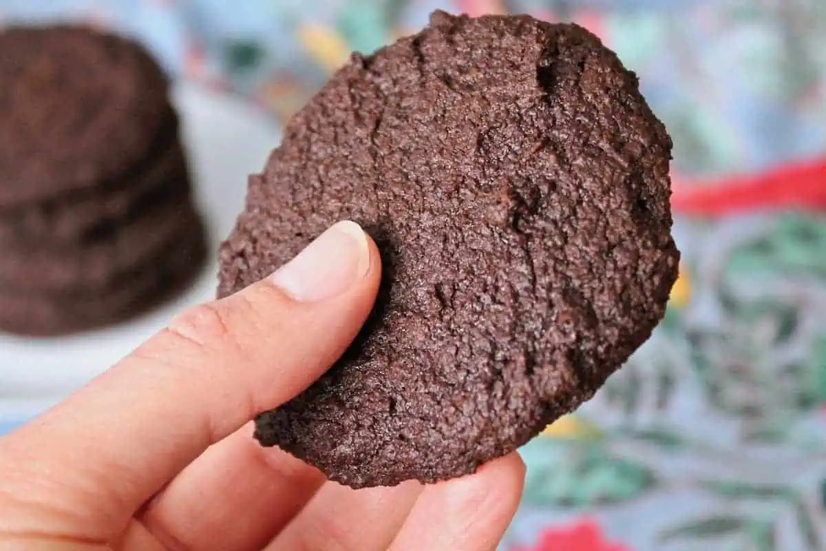 Close up shot of a hand holding one whole chocolate cookie with a blue and red table cloth in the background