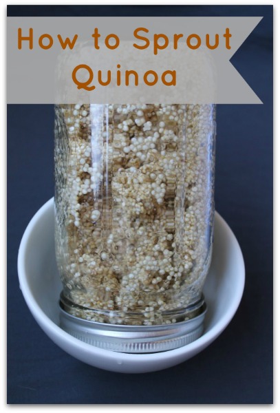 How to Sprout Quinoa
