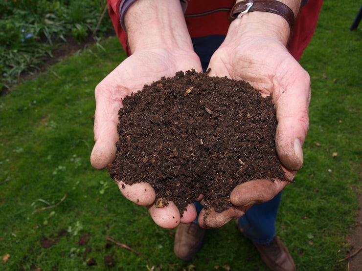 Close up of hands holding brown potting soil