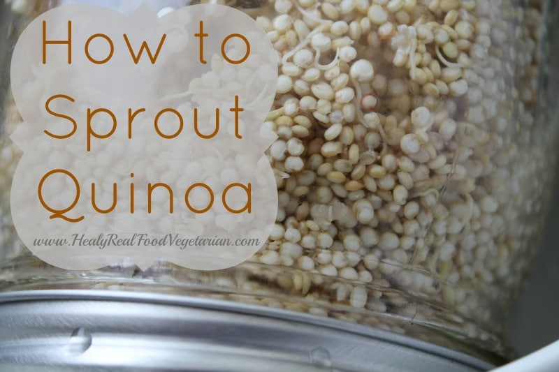 how to sprout quinoa