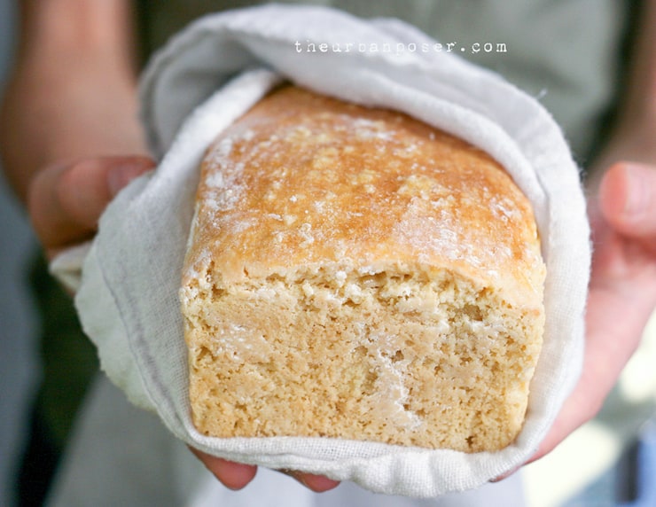 Close up of grain free sourdough loaf wrapped in a white dish torch being held. par une femme