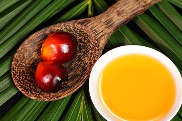 A photo of Oil palm fruit and cooking oil in a small white bowl