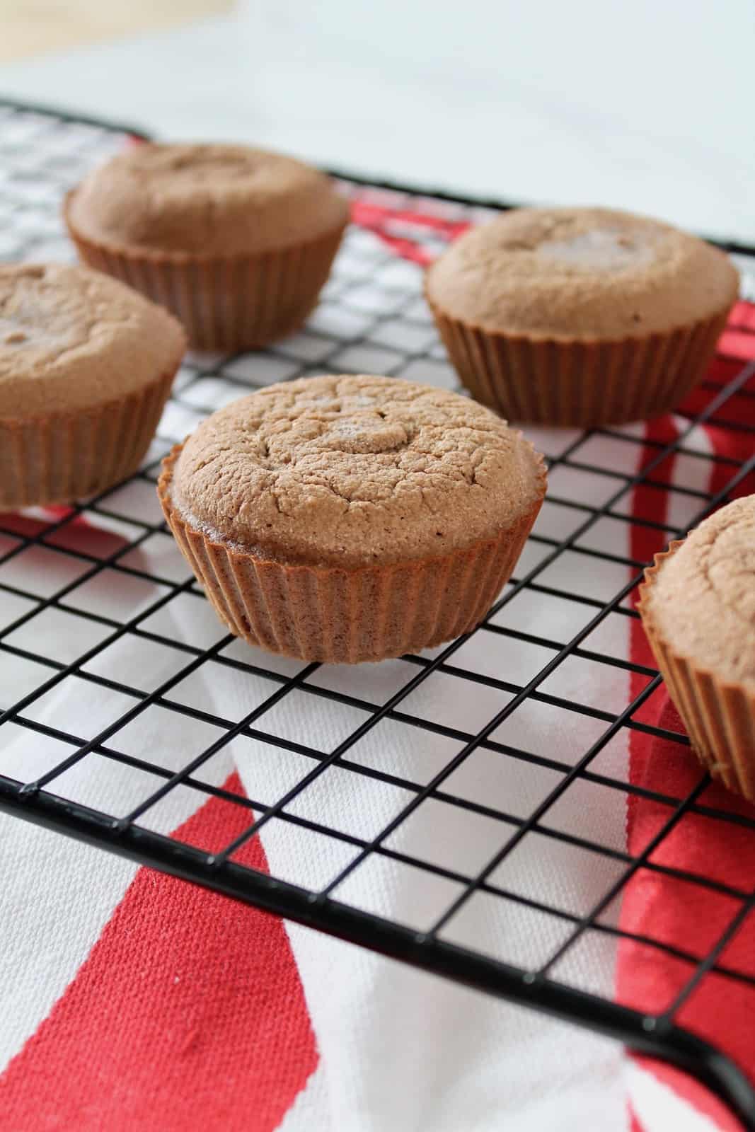 Keto Chocolate Muffins with Coconut Flour