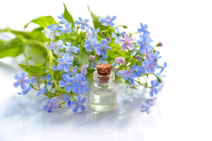 Small glass bottle of essential oil next to purple flowers