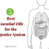 5 Best Essential Oils for Digestive Support