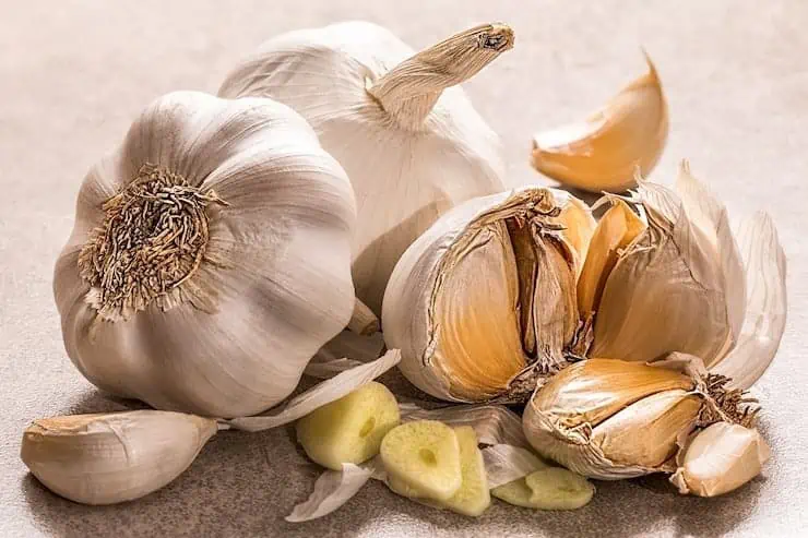 Bulbs of garlic on a grey surface