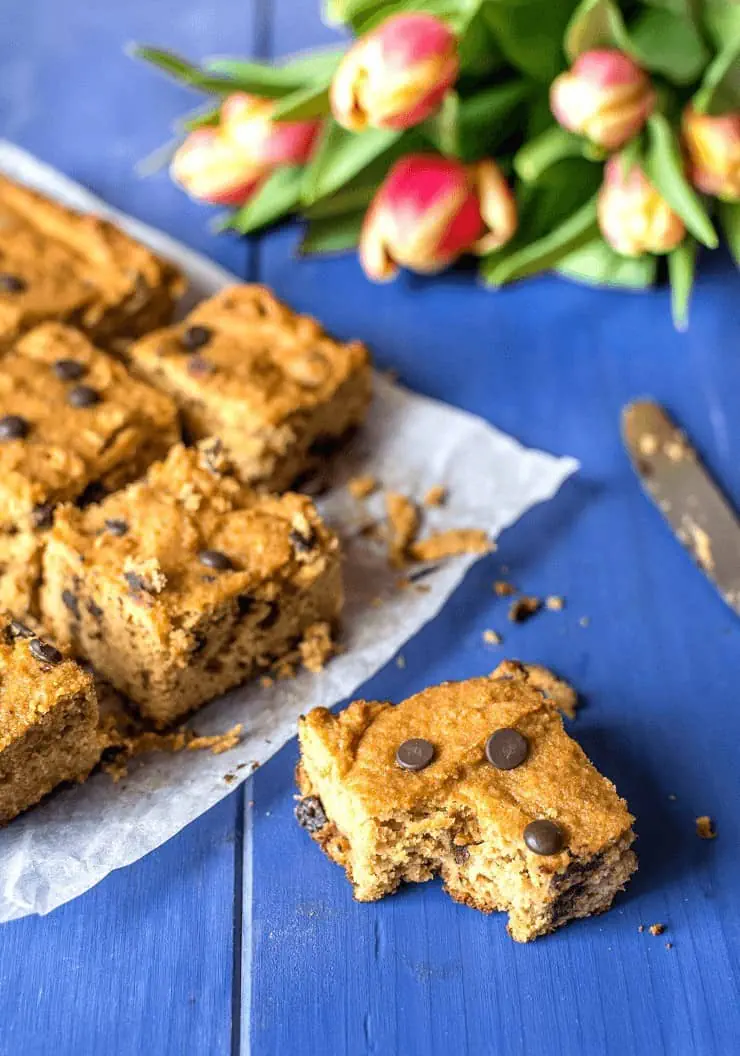 Chocolate Chip Blondie Recipe Keto