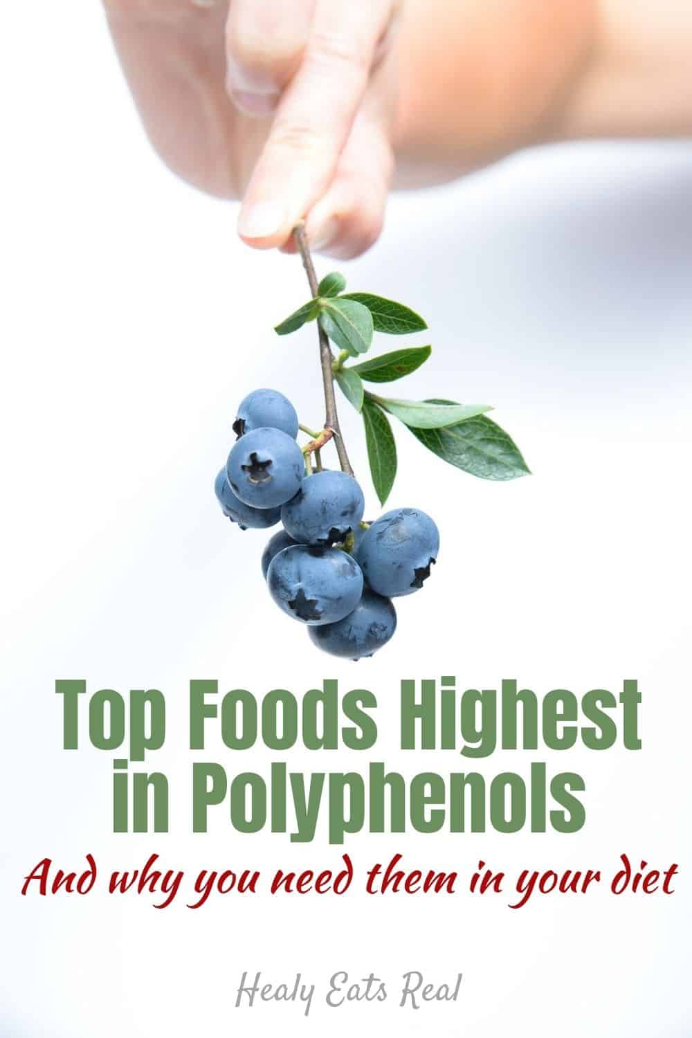 Top Foods Highest in Polyphenols (And why you need them in your diet)