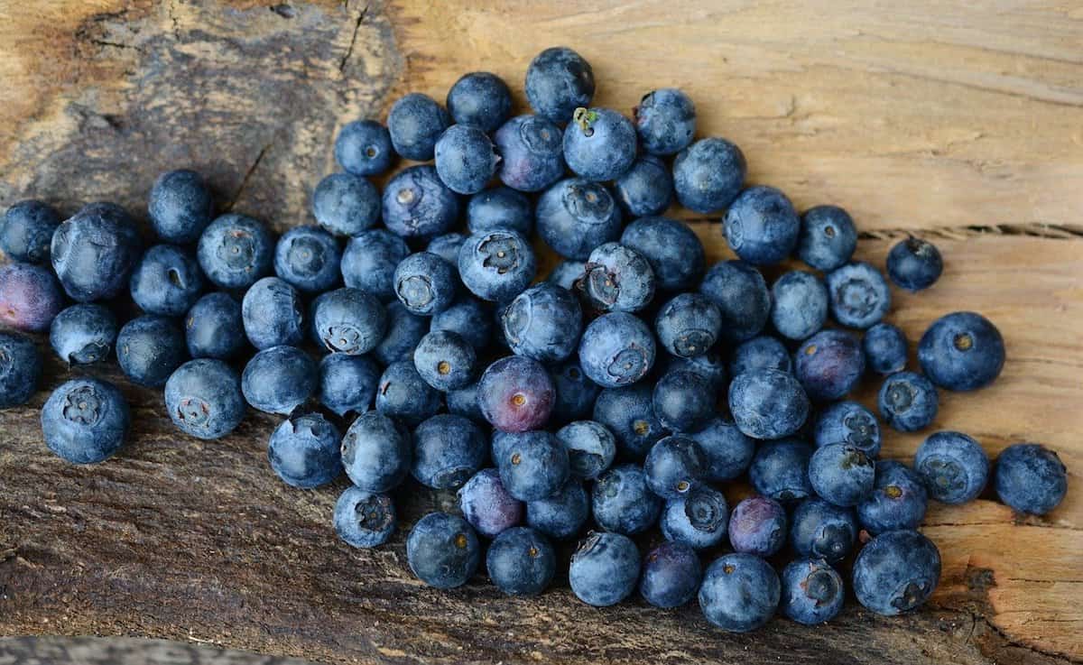 Ein Bündel Heidelbeeren auf einem Holztisch