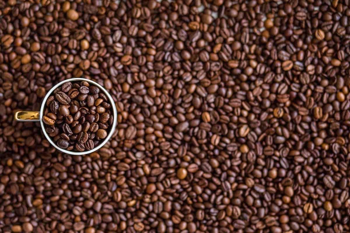 coffee beans covering a surface with a coffee cup on top filled with coffee beans