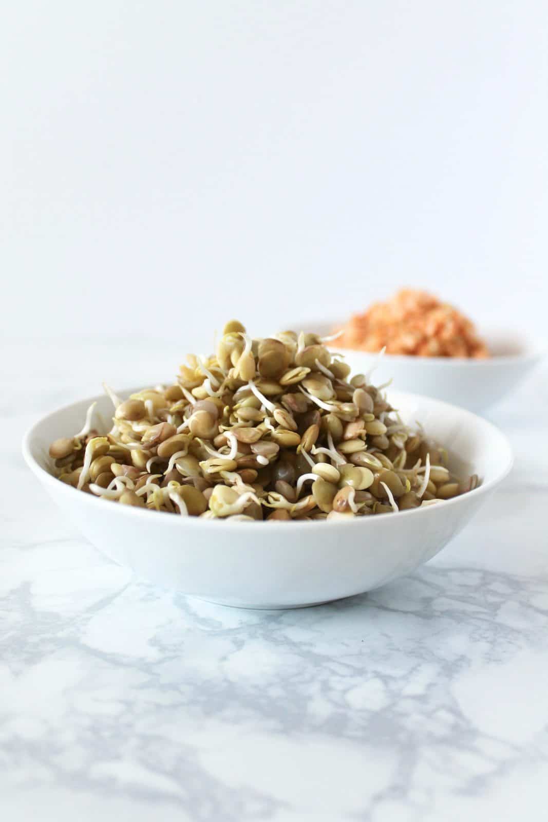 Two white bowl one with sprouted green lentils and one with sprouted red lentils on a white marble surface