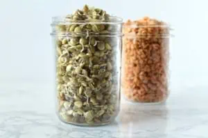 Two mason jars, one filled with brown sprouted lentils, one filled with red sprouted lentils on a white marble surface