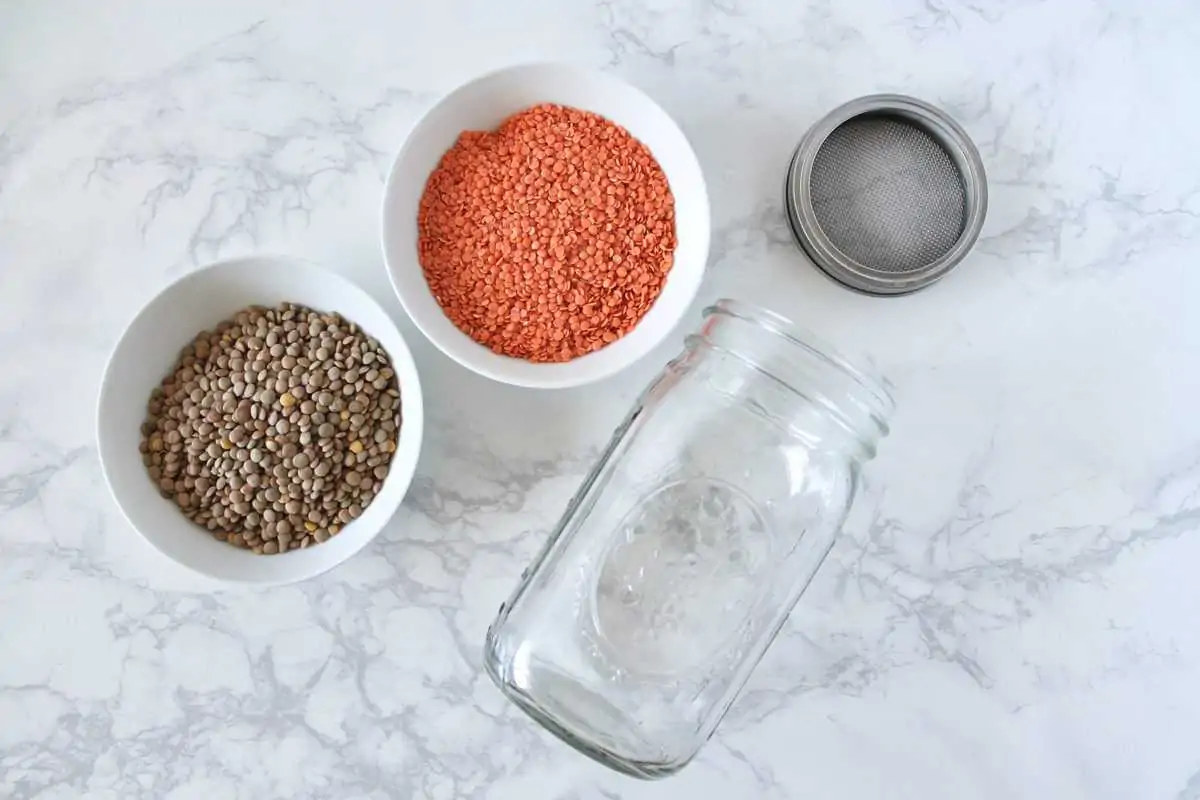 Overhead shot of two white bowls of uncooked red and brown lentils next to an empty mason jar next to a metal sprouting lid on a white marble surface