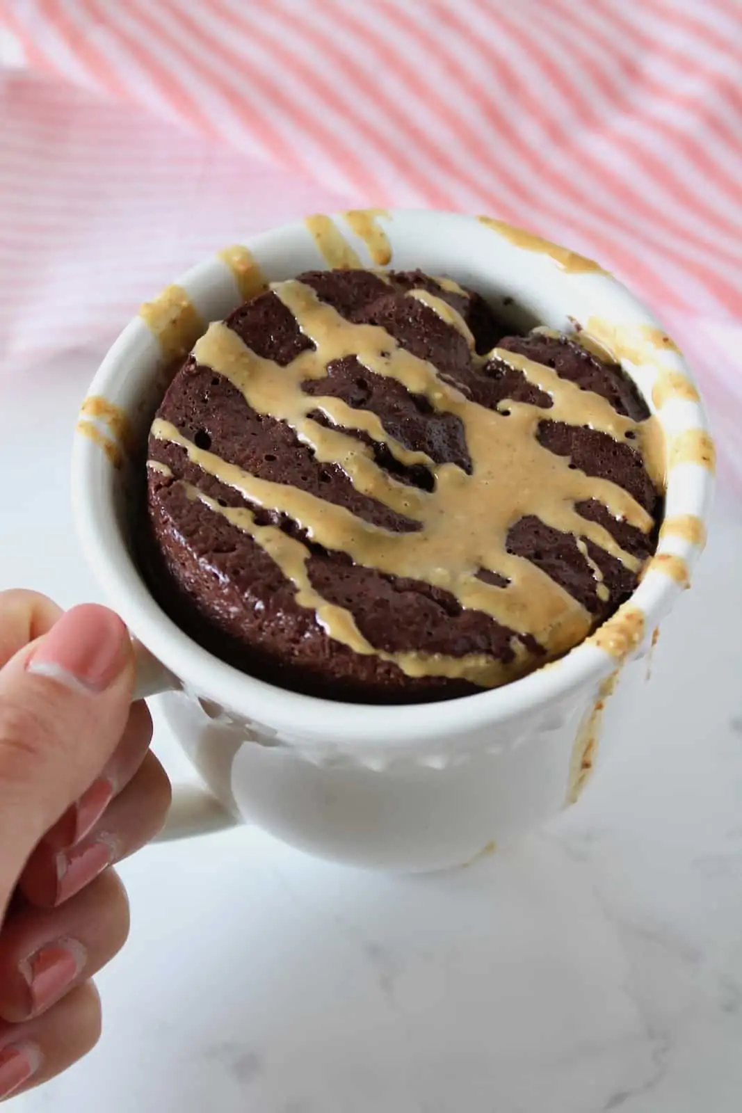 https://healyeatsreal.com/wp-content/uploads/2021/05/Chocolate-Protein-Mug-Cake.webp