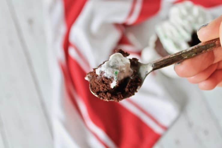 Close up shot of a small spoon with a bite of the mug cake with whipped cream on top with a red and white striped dish towel in the background