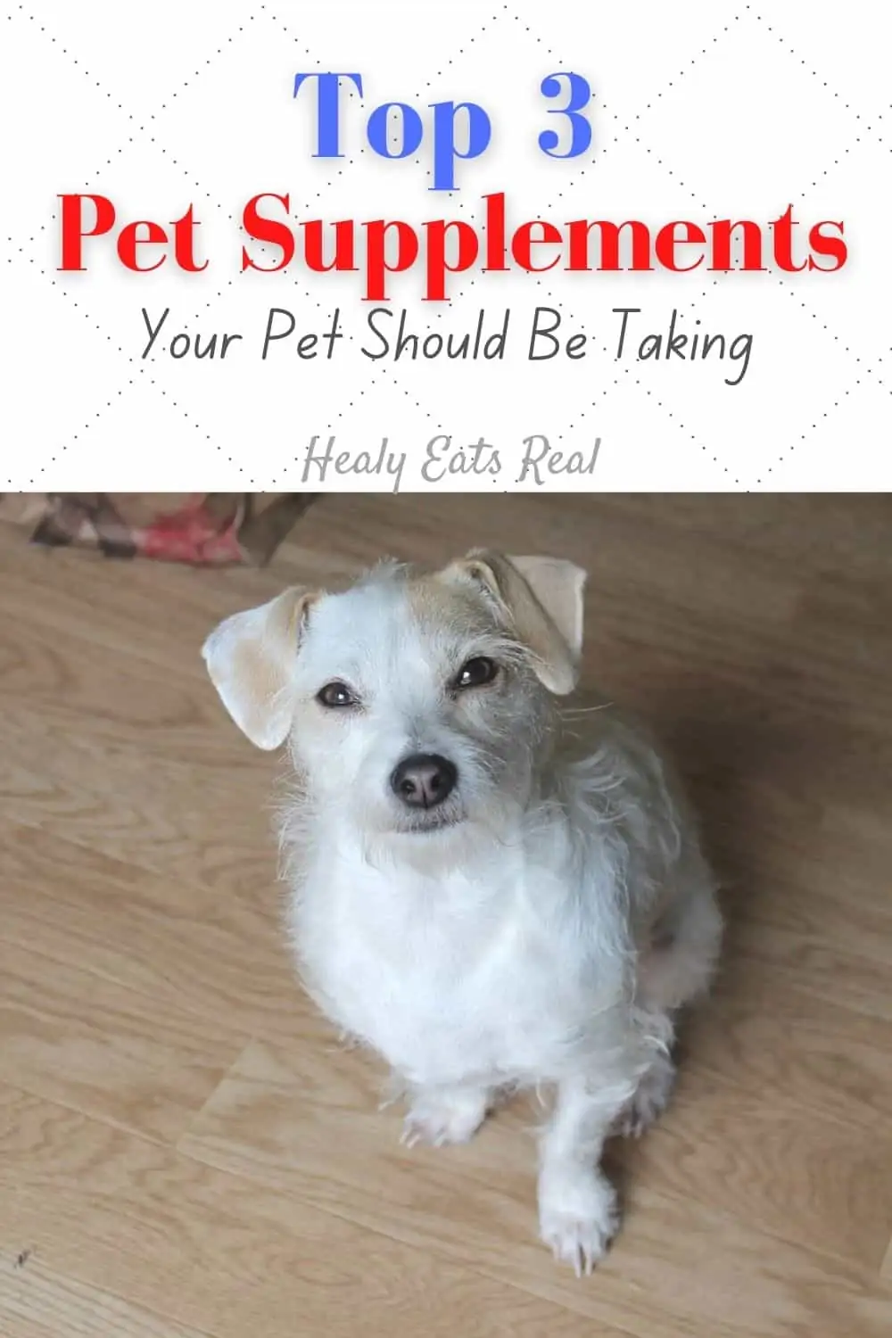 Top 3 Pet Supplements Your Pet Should Be Taking