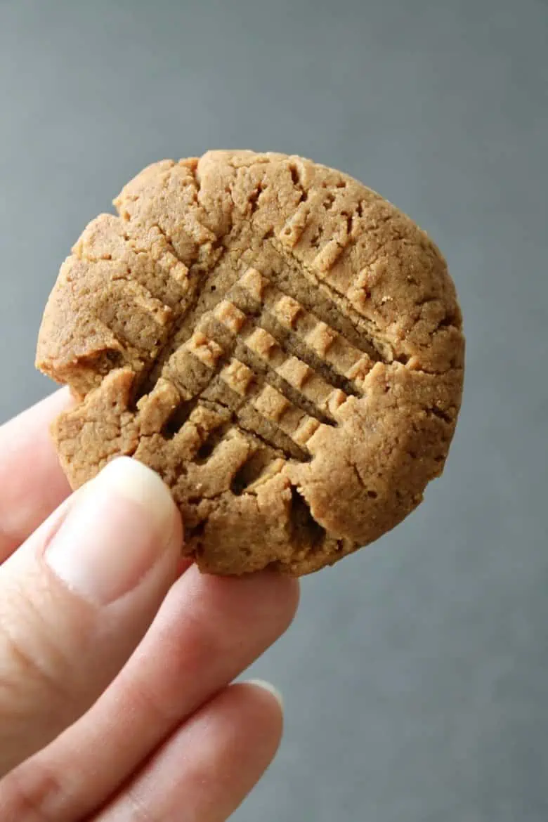 close up of a hand holding one gluten free peanut butter cookie with grey background