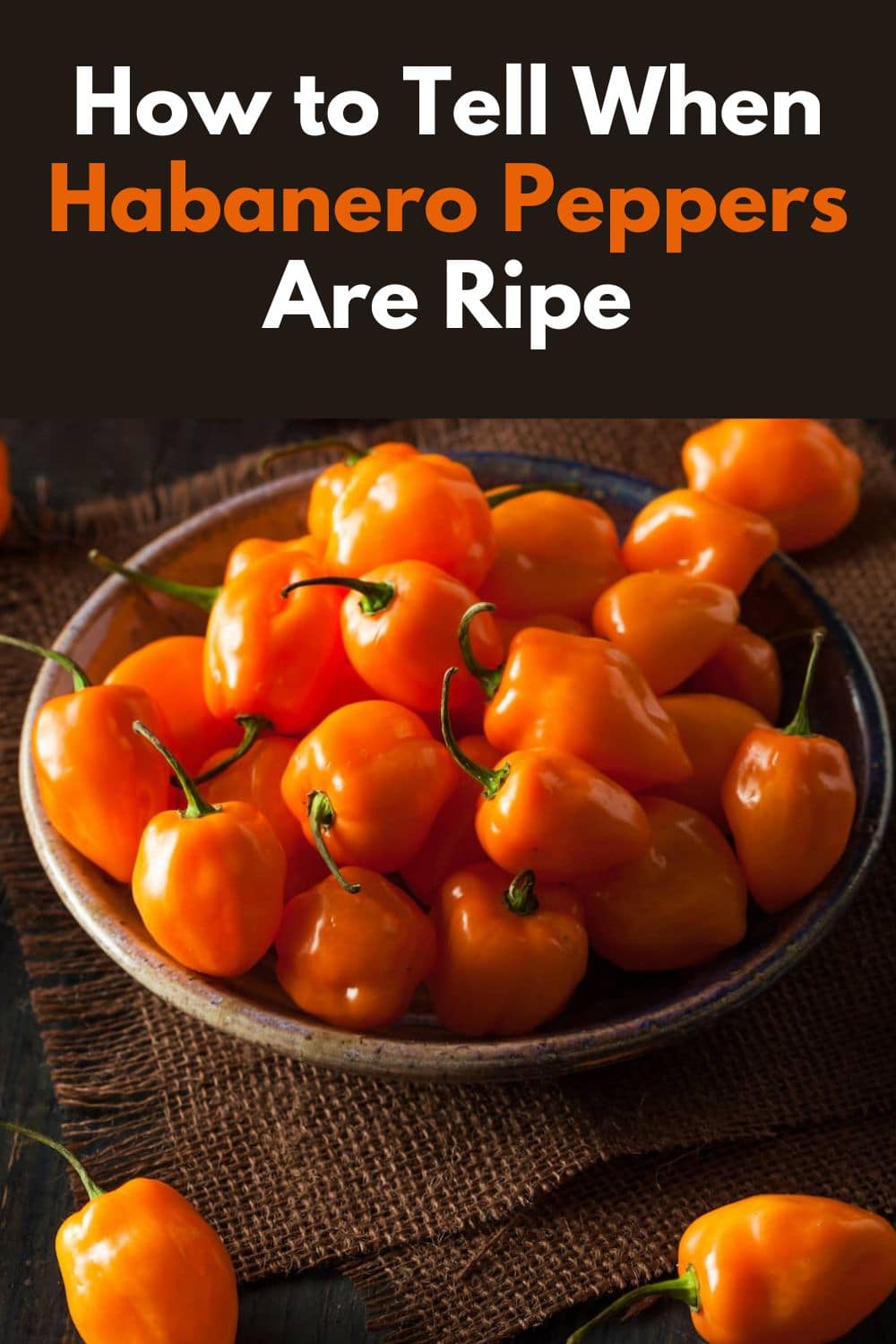 How To Tell When Habanero Peppers Are Ripe 7 Recipes