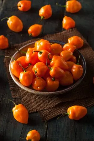 A bowl of orange habanero peppers on a table.